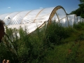 IMG_20200810_141253-1