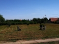 IMG_20200813_110302