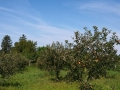 IMG_20200813_111452